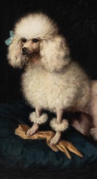 Mrs. Cleveland Greenway's "Rosette Blanche" (Zita)