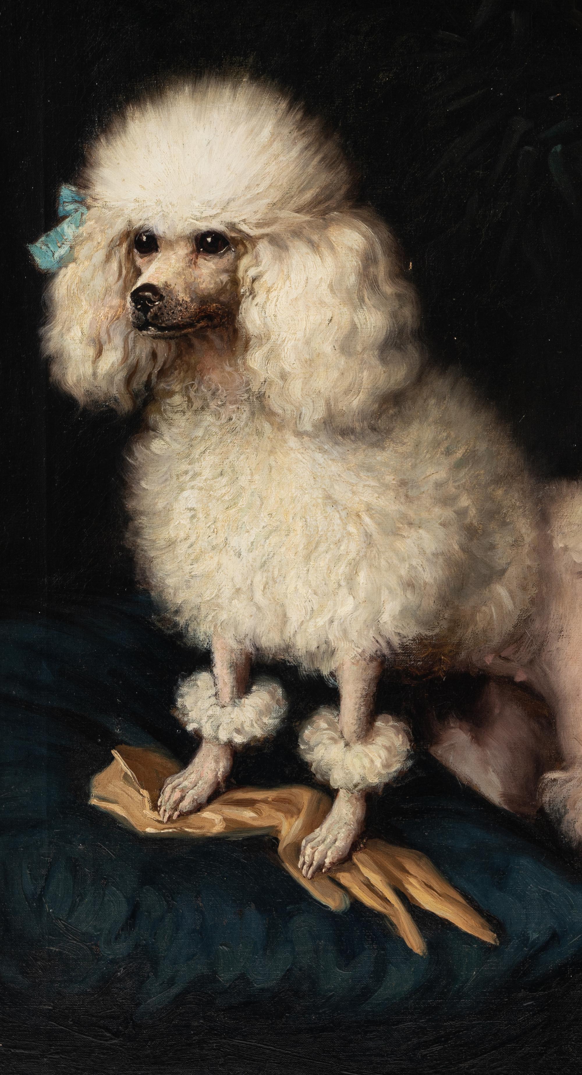 Mrs. Cleveland Greenway's "Rosette Blanche" (Zita)