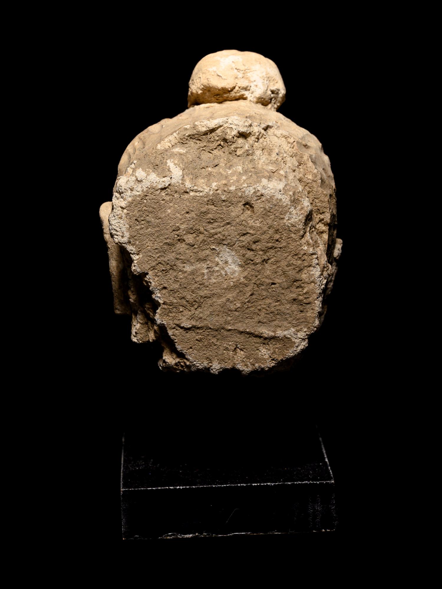 Three Gandharan Fragmentary Stucco Heads
