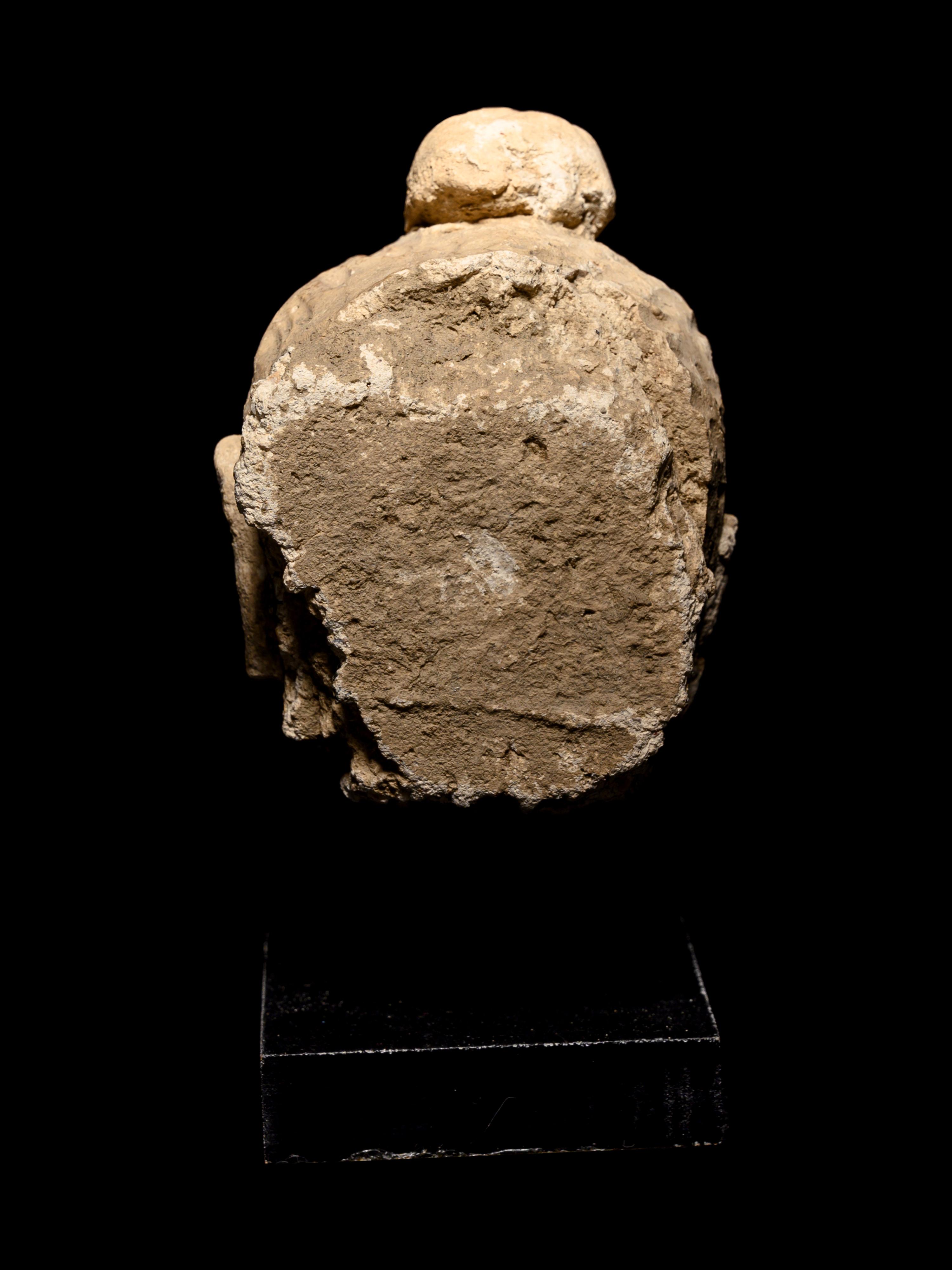 Three Gandharan Fragmentary Stucco Heads