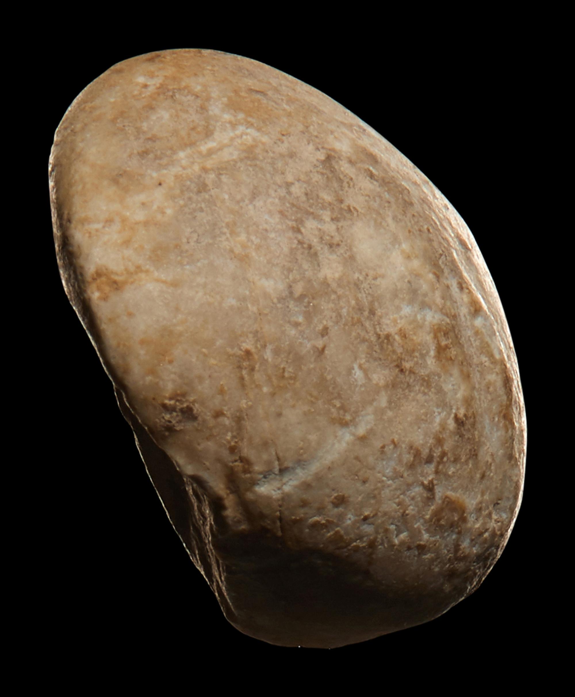 An Anatolian Marble Head