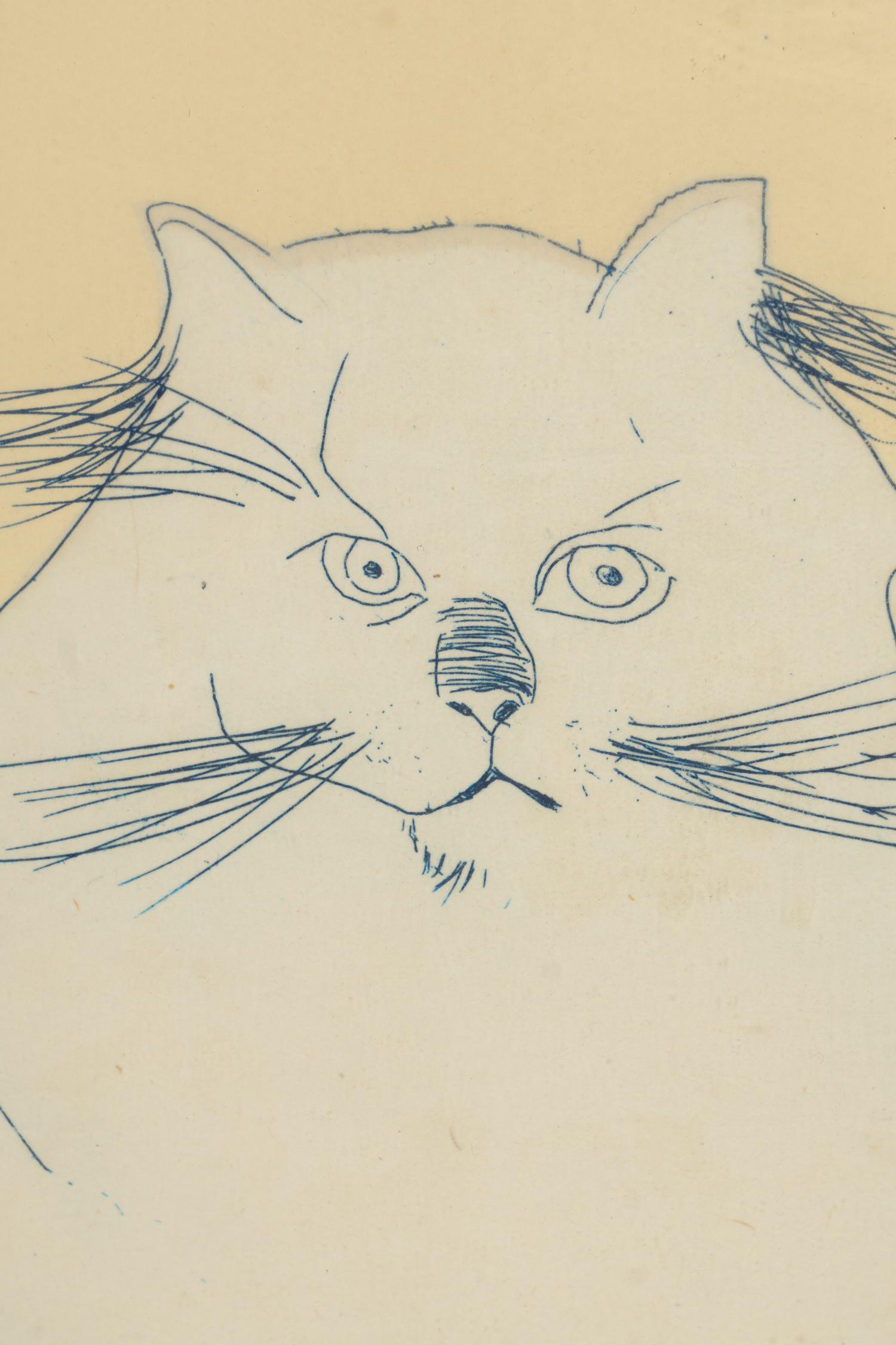 Cat , edition 29/30