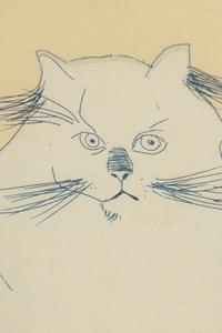 Cat , edition 29/30