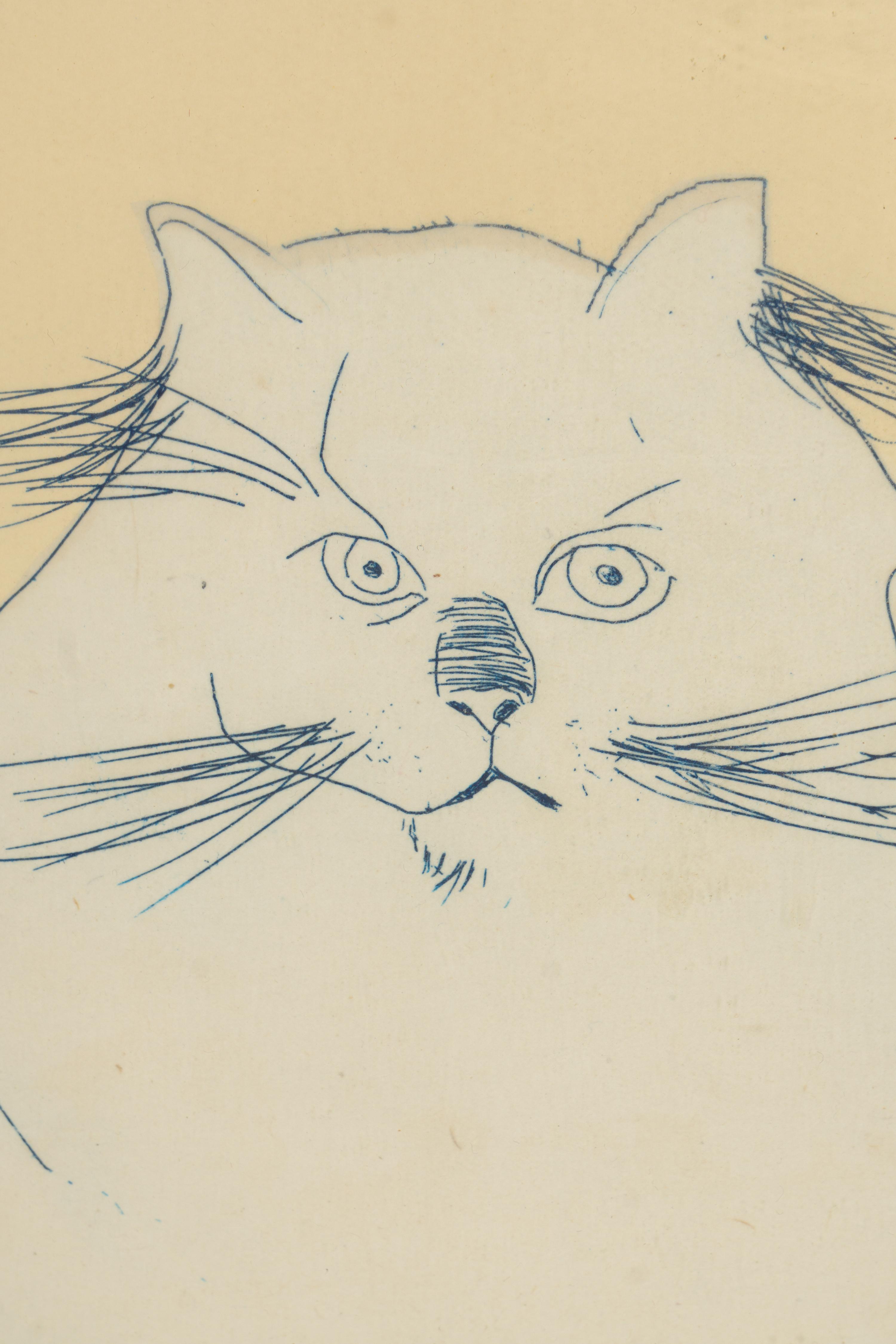 Cat , edition 29/30