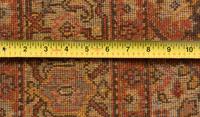 An Agra Runner