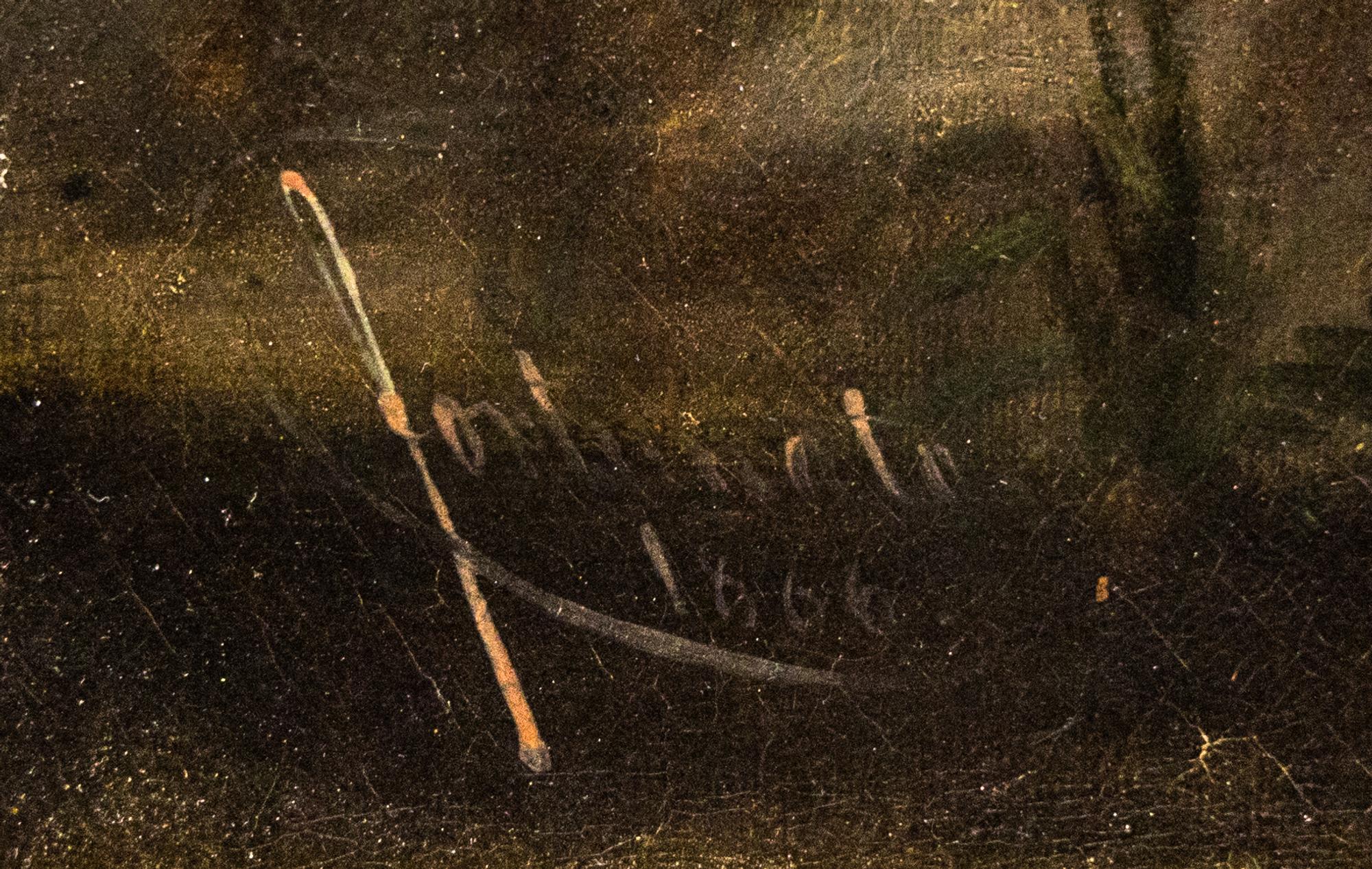 Nicaraguan Landscape, 1866