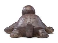A Sewer Tile Turtle