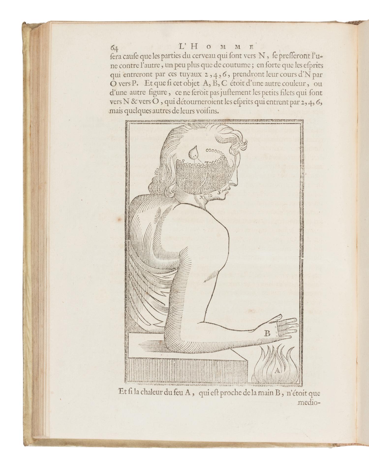 [Philosophy] Descartes, Rene. Les Traitez de l'Homme et de La Formation du Foetus