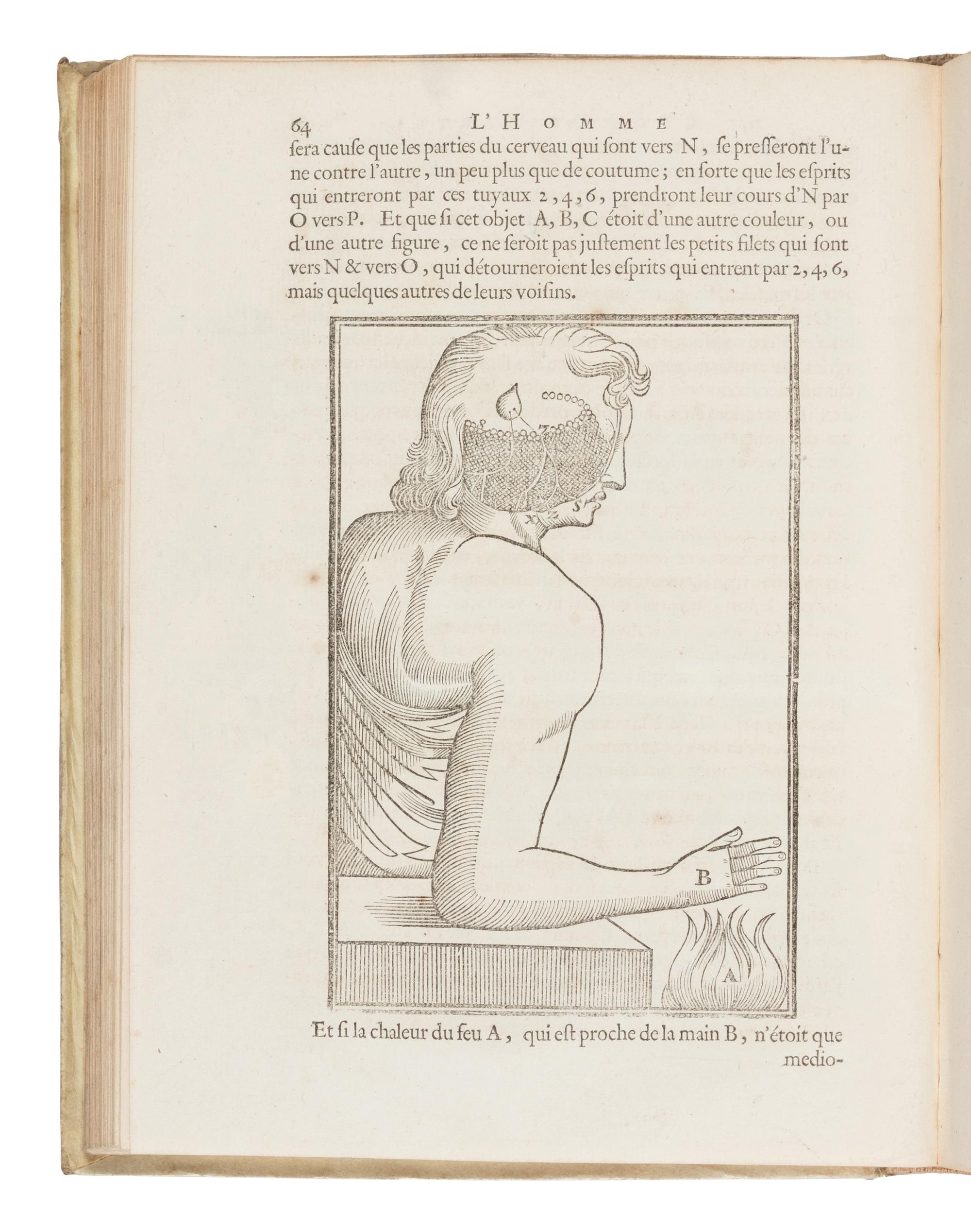 [Philosophy] Descartes, Rene. Les Traitez de l'Homme et de La Formation du Foetus