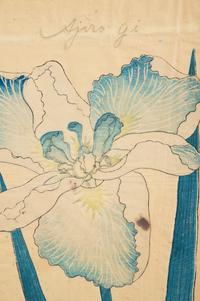 A Group of Six Japanese Color Lithographs from the Yokohama Seed Company
