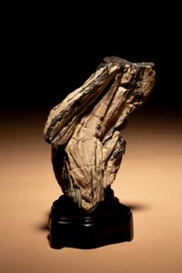A Small Petrified Wood Scholar's Rock