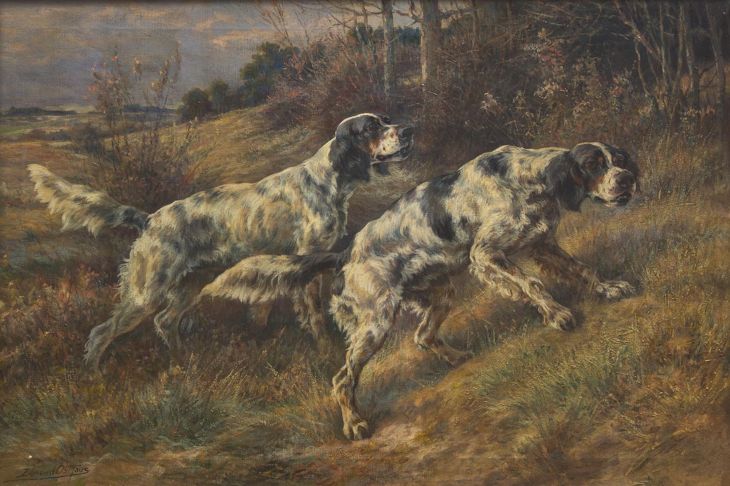 Roy and Dan, Prize Dogs