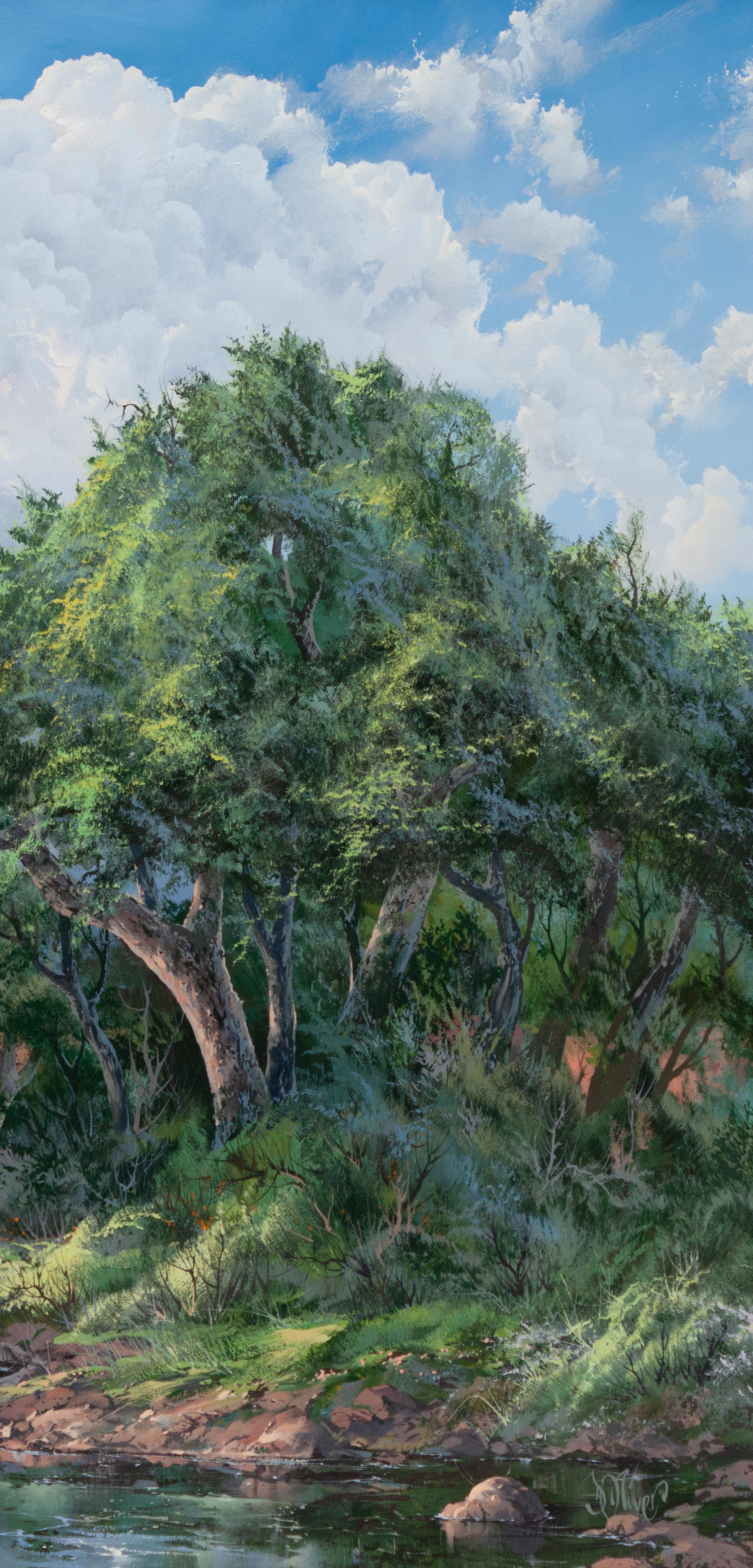 Mountain Landscape