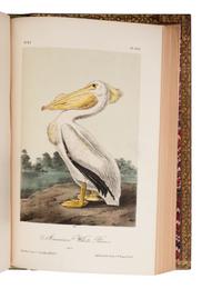 Audubon, John James. The Birds of America from Drawings Made in the United States and Their Territories .
