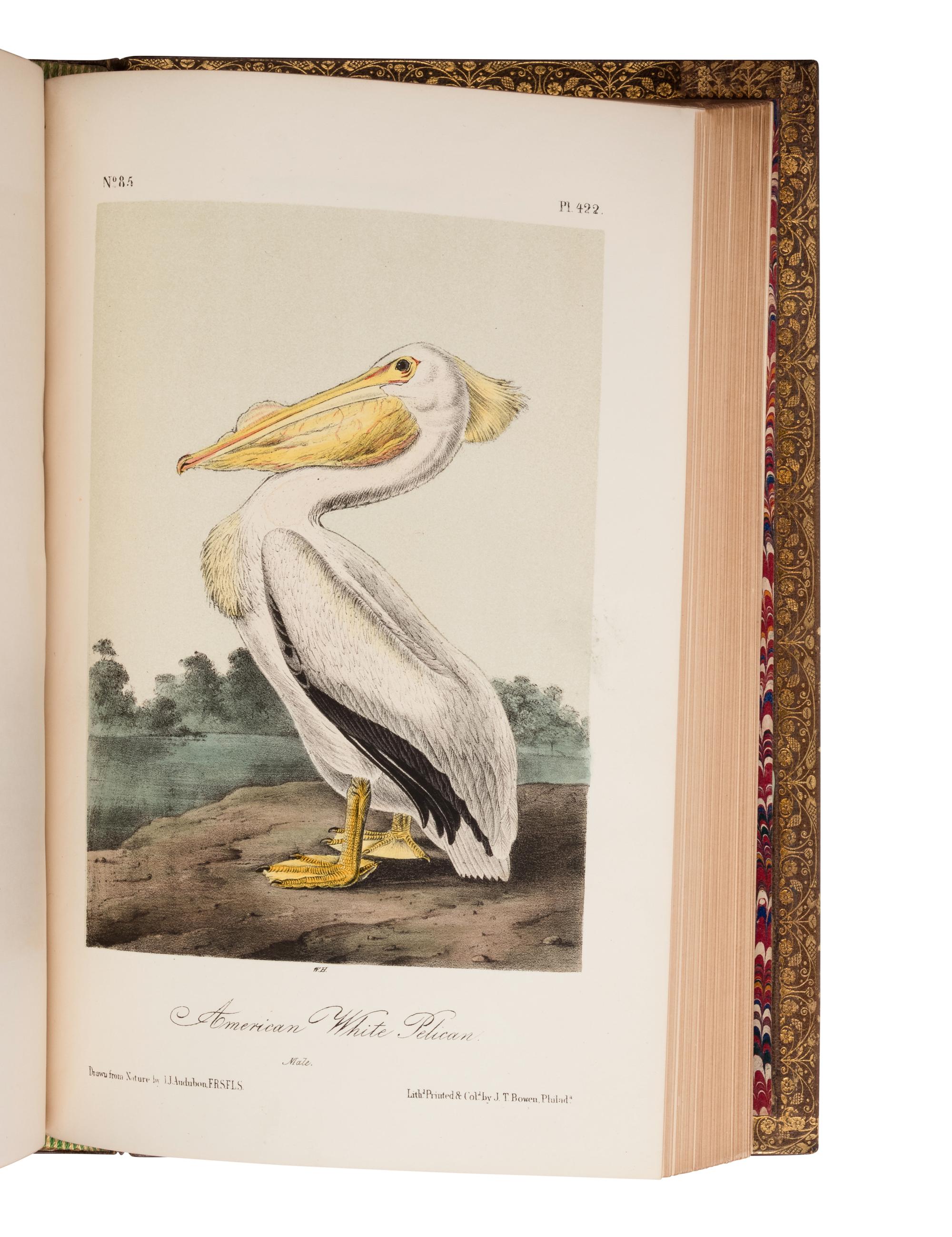 Audubon, John James. The Birds of America from Drawings Made in the United States and Their Territories .