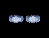 Two Pairs of Chinese Blue and White Porcelain Wares
