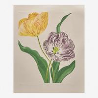 Rory McEwen (British, 1932-1982) Old English Tulips I & II