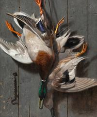 Ducks