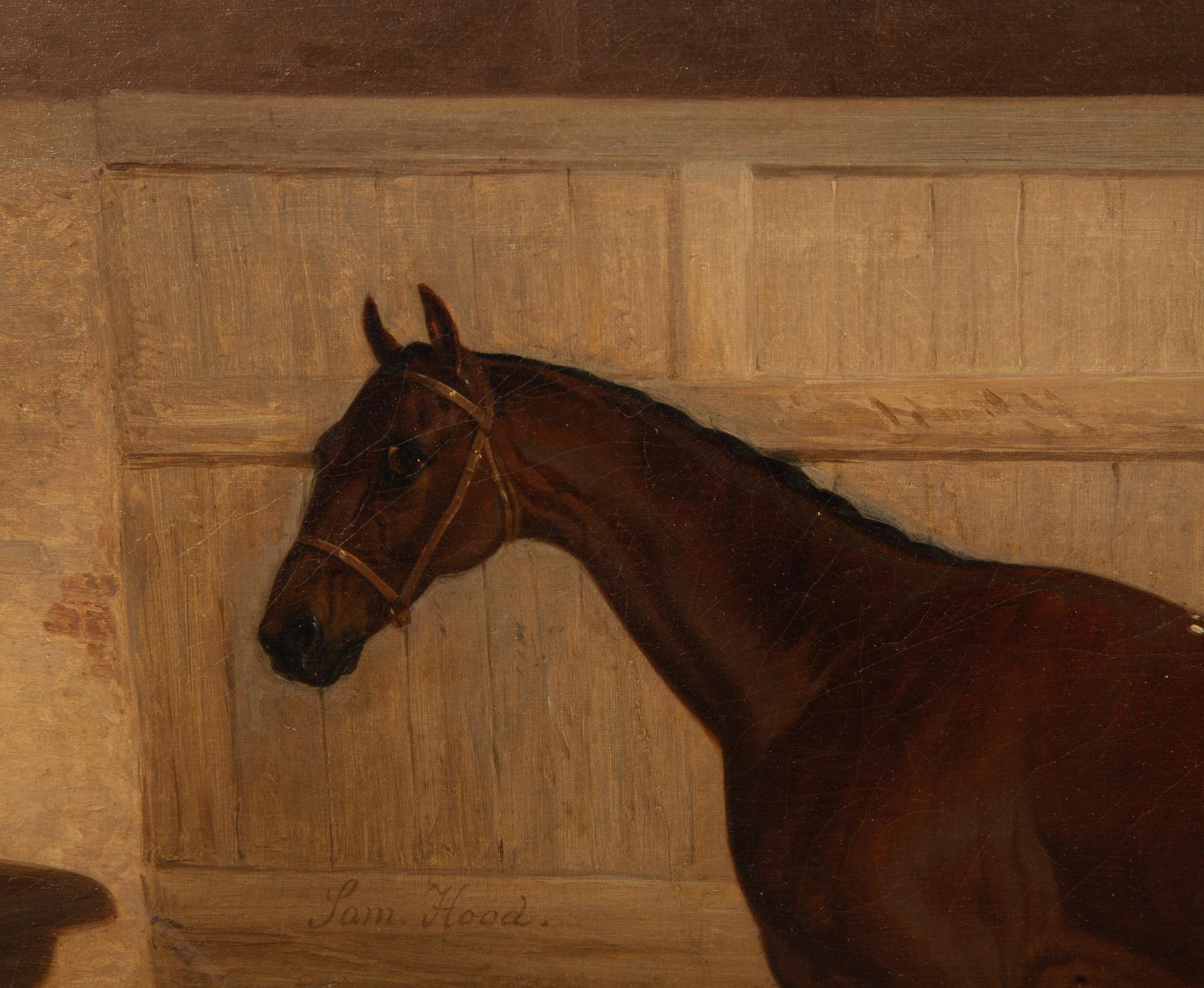 Racehorse Sam Hood , 1865