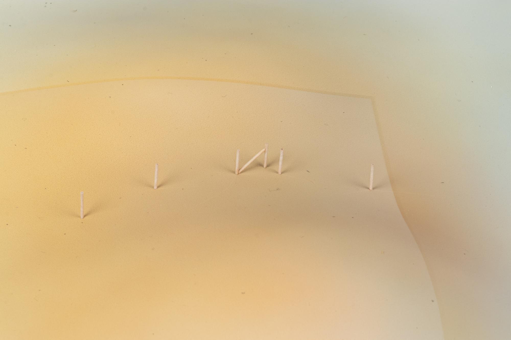 Soft Hill: Five Poles