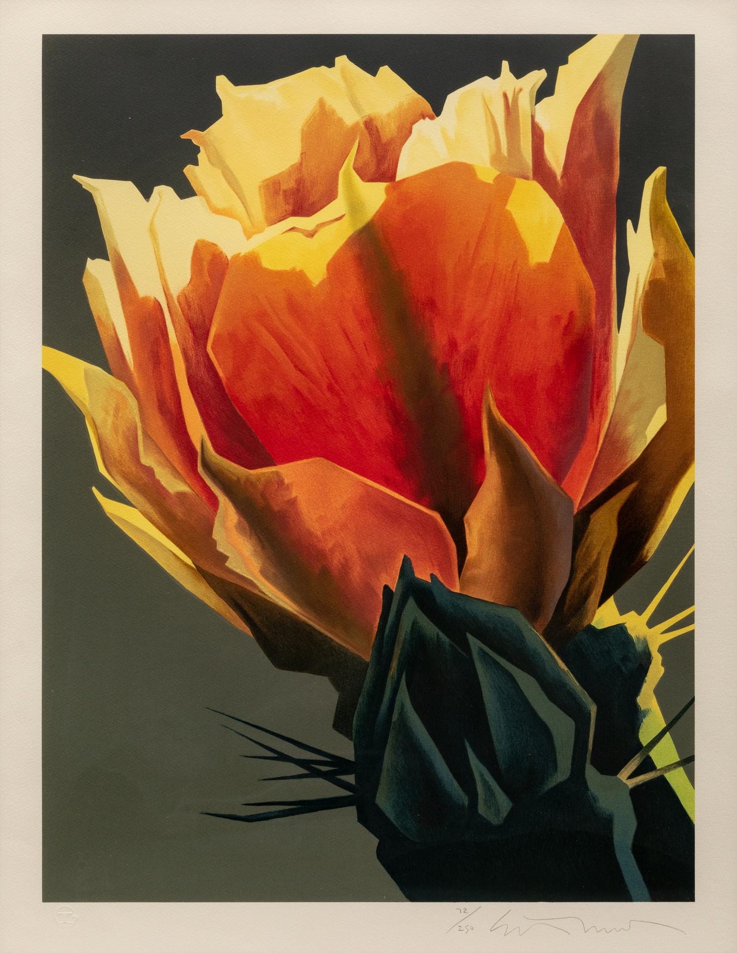 La Flora Roja, editon 72/250