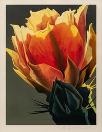 La Flora Roja, editon 72/250