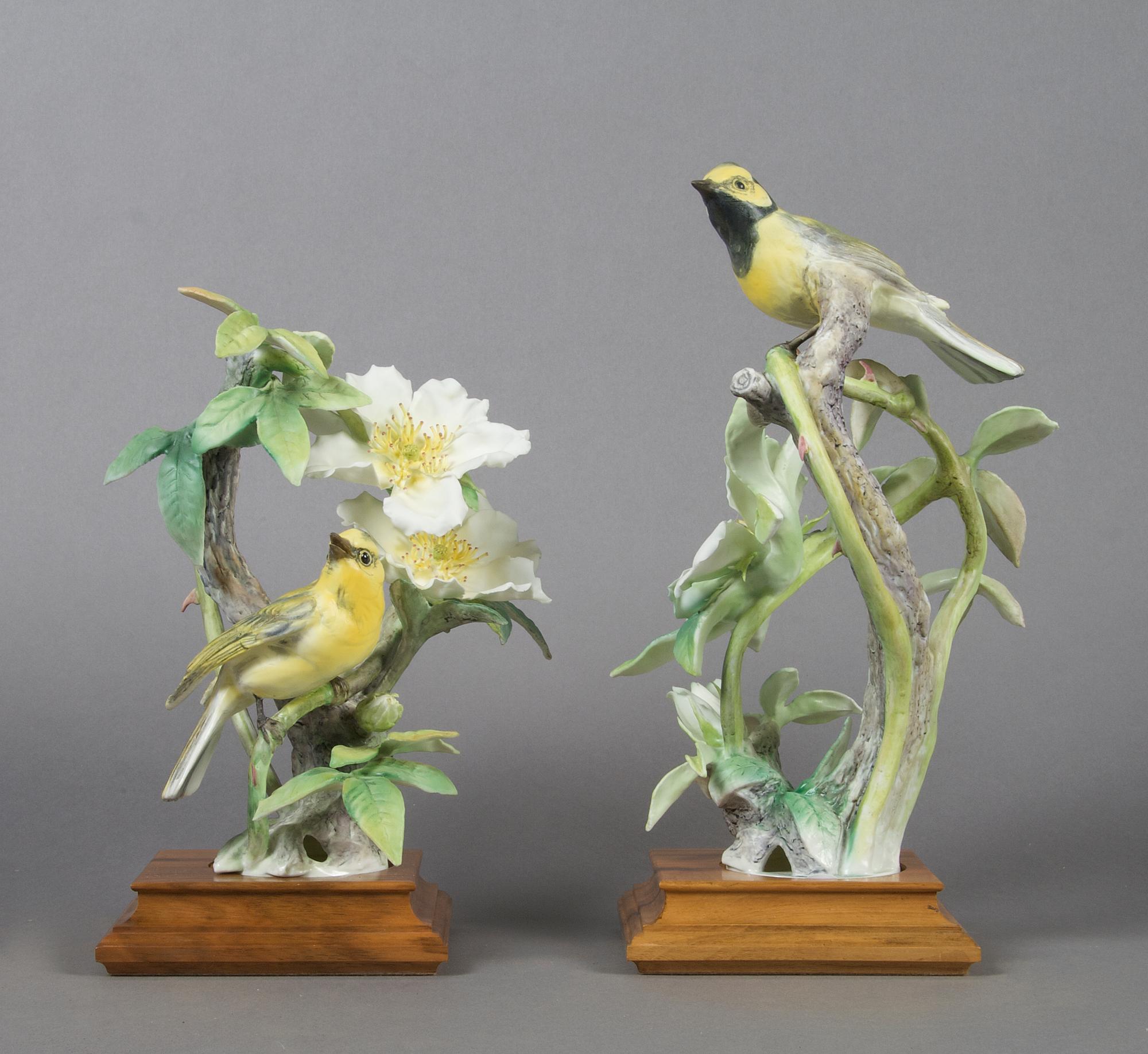 A Pair of Royal Worcester Dorothy Doughty Birds, Hooded Warbler, Height 12 inches.