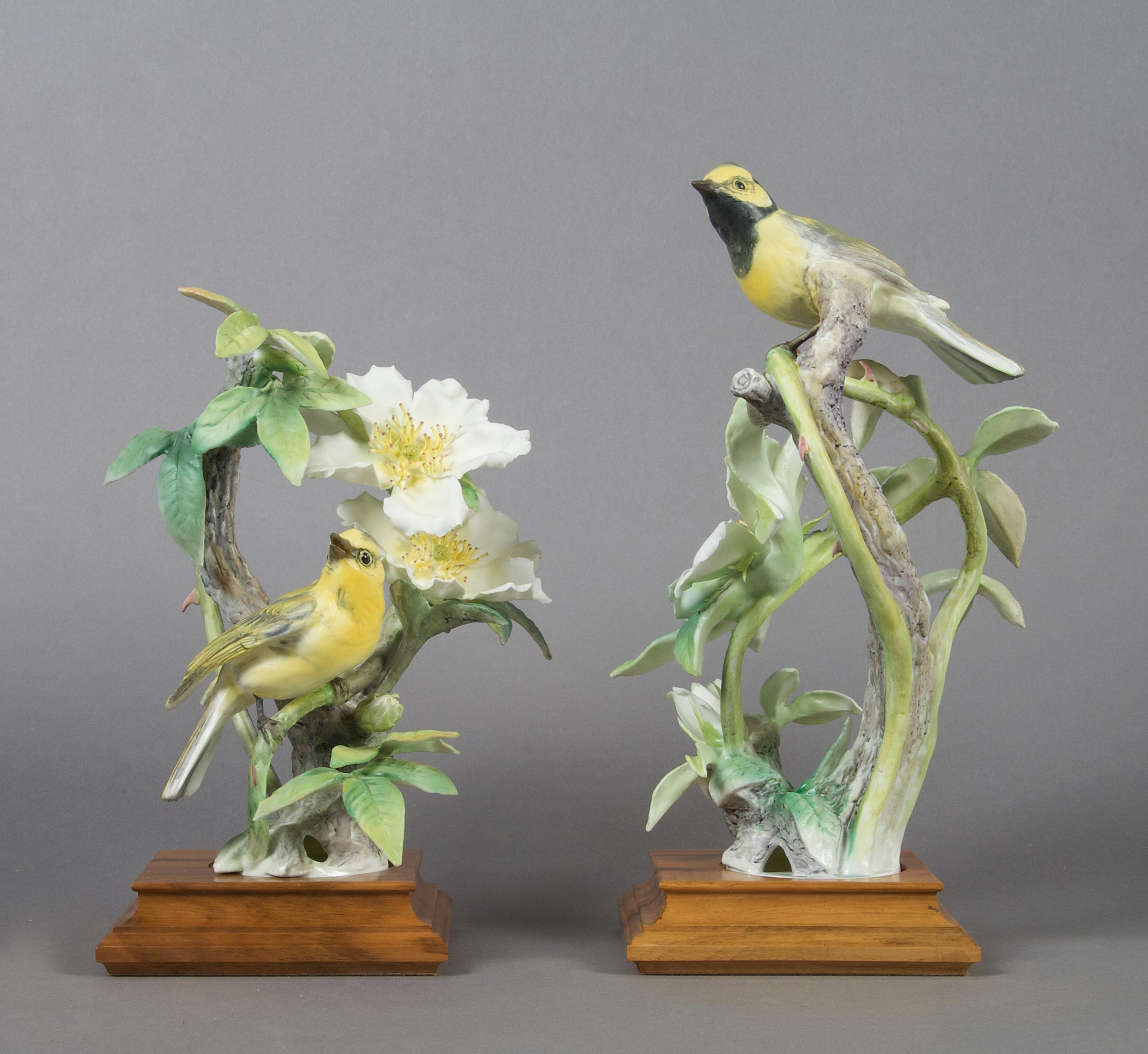A Pair of Royal Worcester Dorothy Doughty Birds, Hooded Warbler, Height 12 inches.