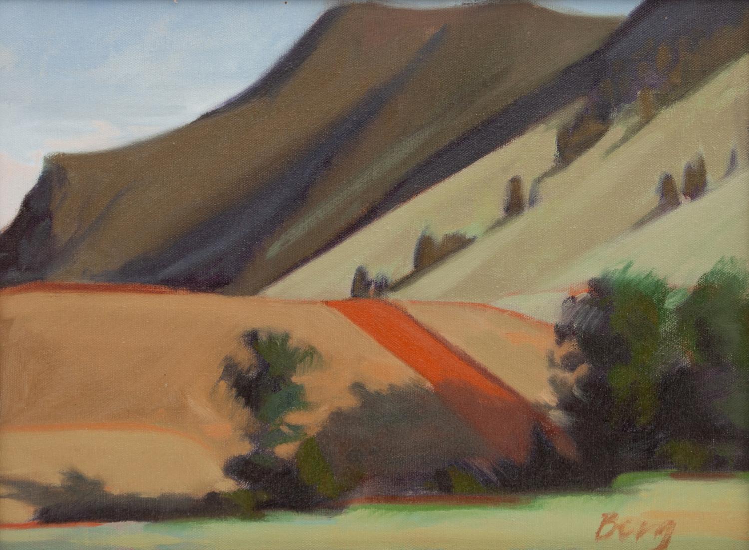 South Sheep Mountain, July '76