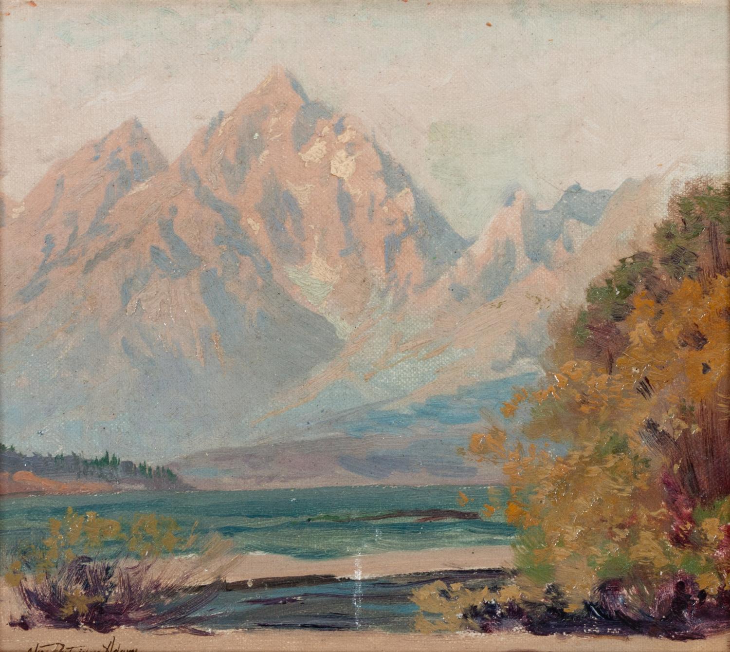 Teton Landscape