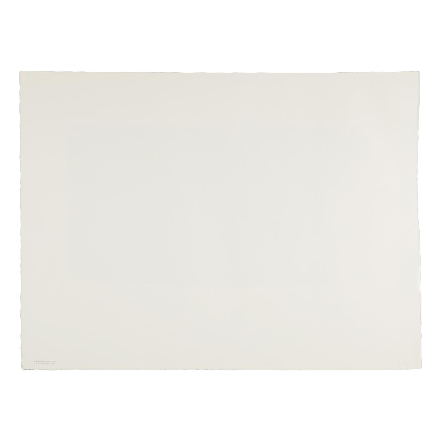 Jasper Johns (American, b. 1930) — Untitled (Skull), from Reality and Paradoxes , 1973