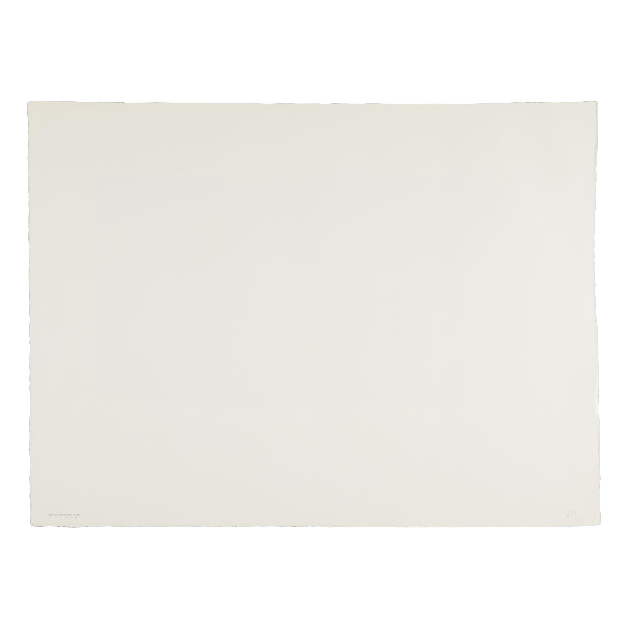 Jasper Johns (American, b. 1930) — Untitled (Skull), from Reality and Paradoxes , 1973