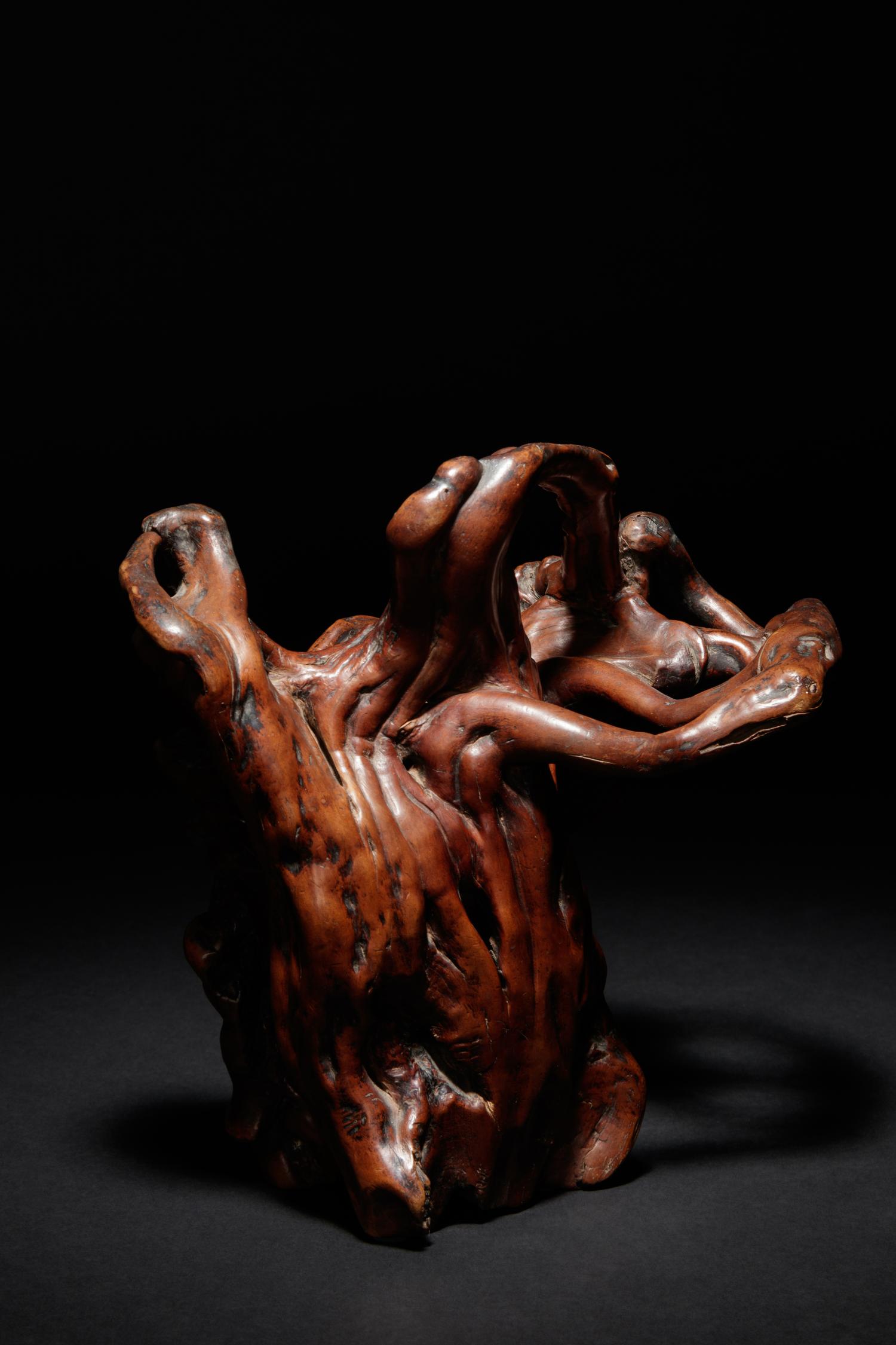 A Natural Gnarled Rootwood Carving