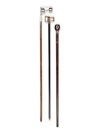 Two Mother-of-Pearl and Brass Mounted Opera Glass Mounted Walking Sticks