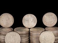 A Large Collection of Morgan $1 Coins
