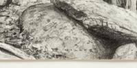 Sunning , 2005