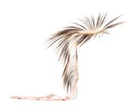Plains Porcupine Hair Roach, with Ribbon Streamers