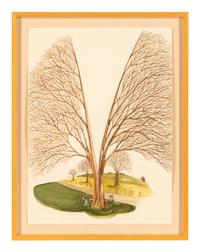 Untitled (Splitting the Tree) , 2009