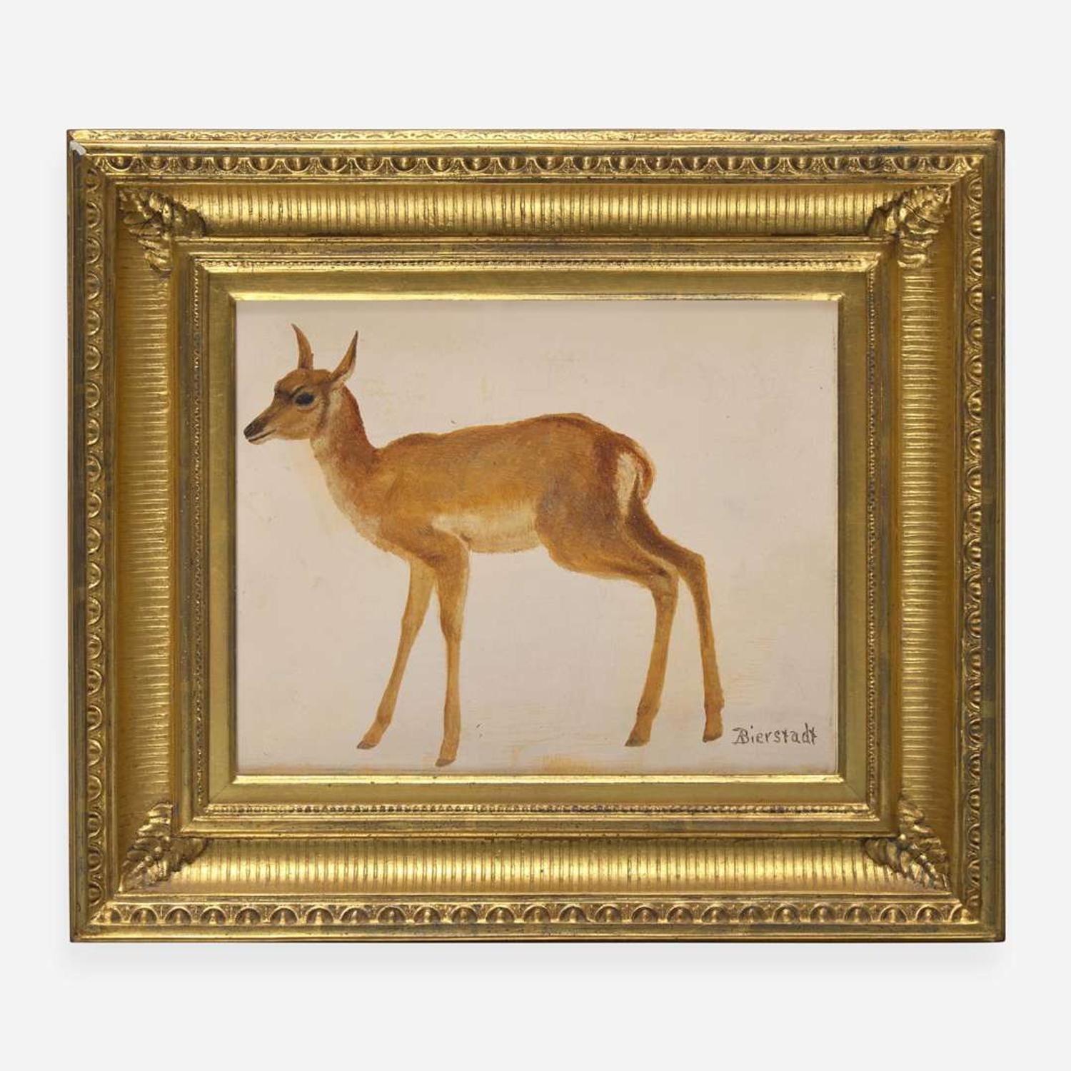 Albert Bierstadt (American, 1830–1902) Study of a Deer
