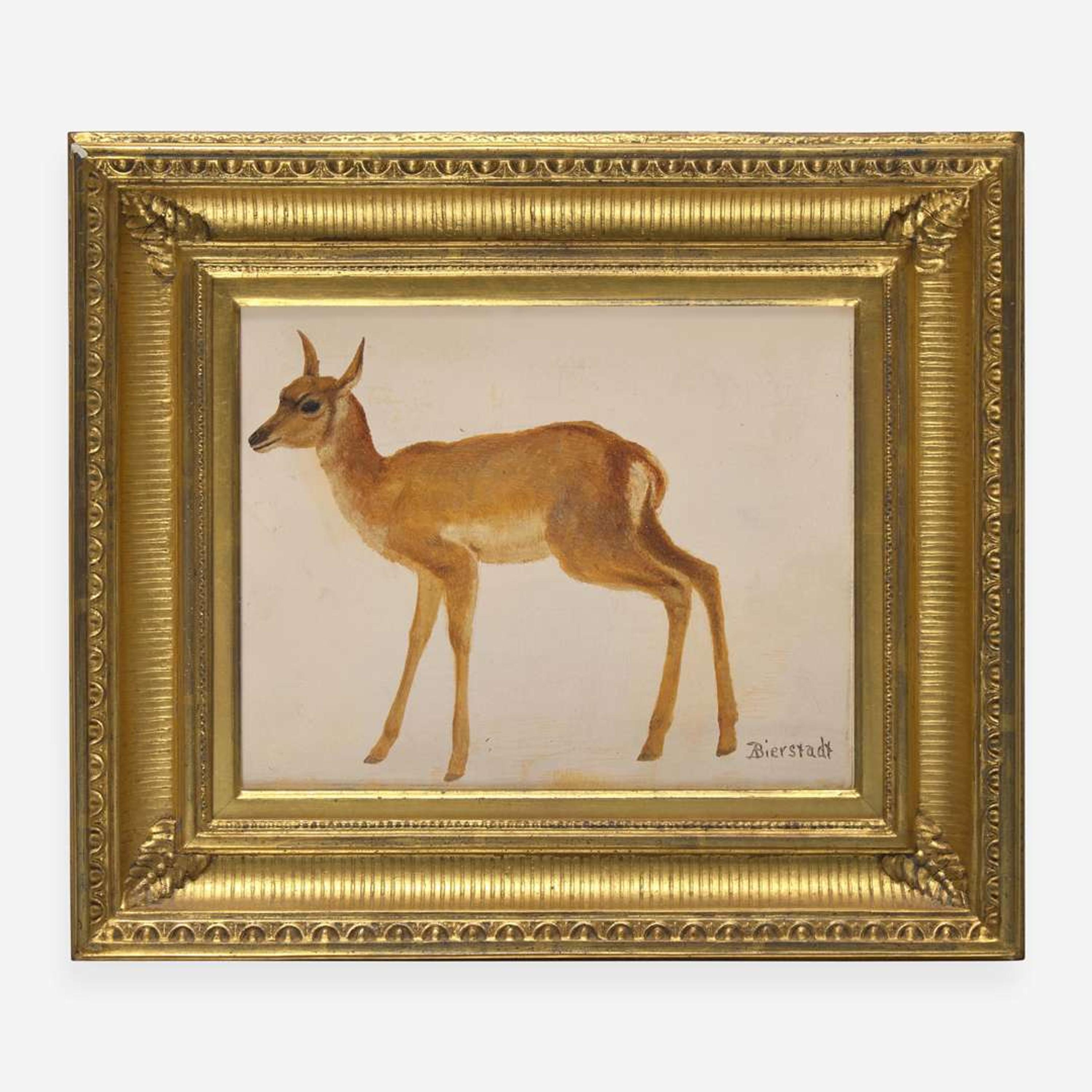 Albert Bierstadt (American, 1830–1902) Study of a Deer
