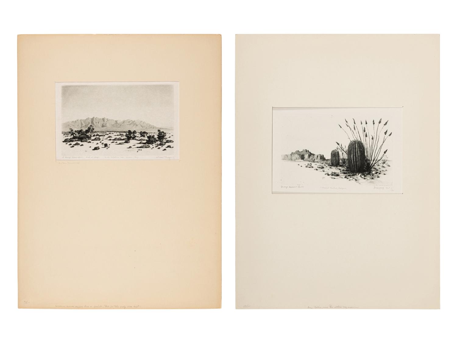 Two Works: Barrel Cactus, Arizona and Santa Catalina Mts, Tuscon, Arizona