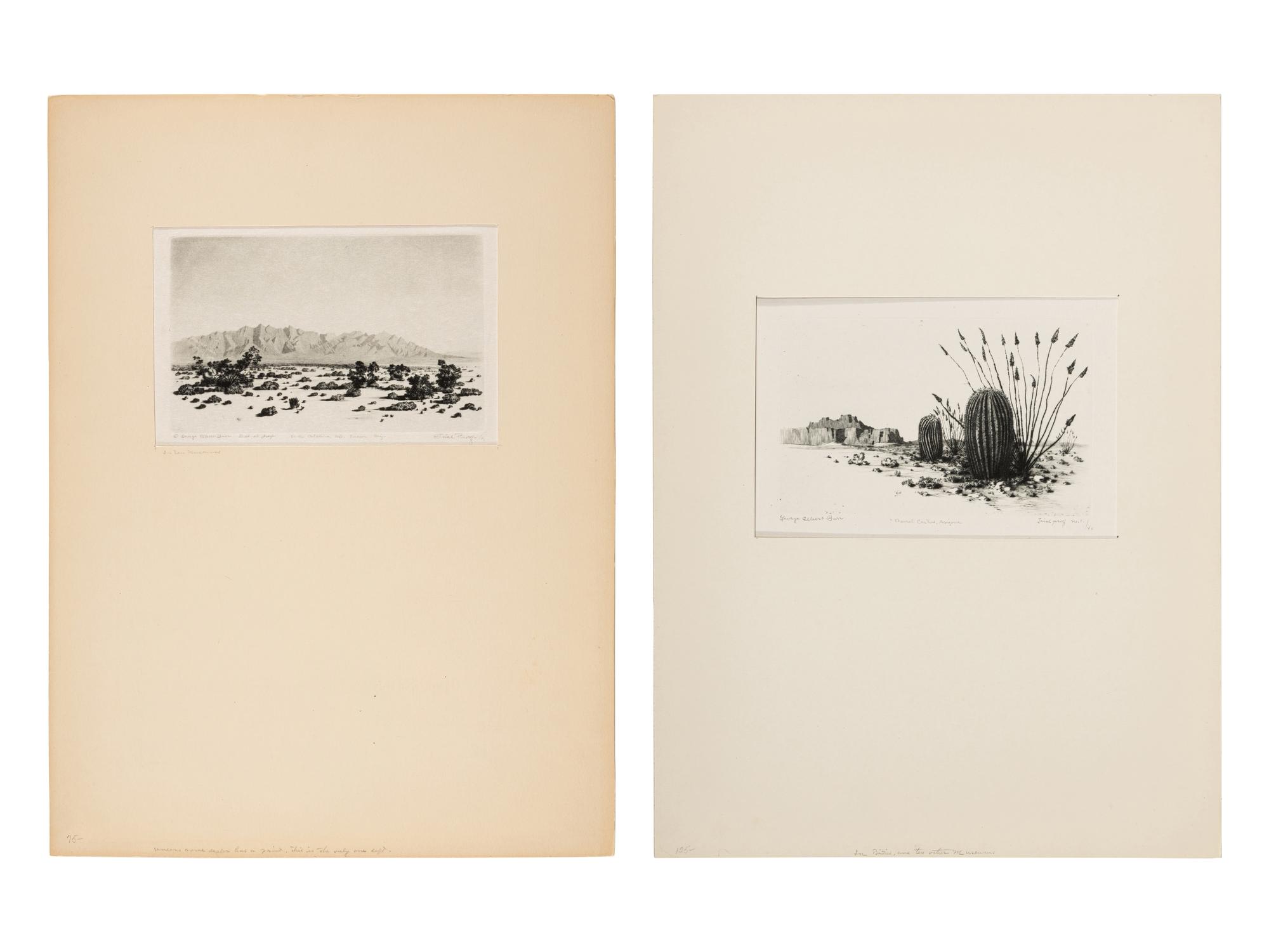 Two Works: Barrel Cactus, Arizona and Santa Catalina Mts, Tuscon, Arizona