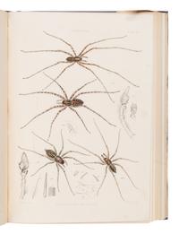 [Natural History] Blackwall, John. A History of the Spiders of Great Britain and Ireland