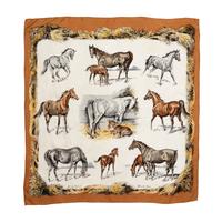 Two Hermès Scarves