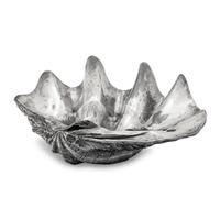 A Large Silver Clad Seashell