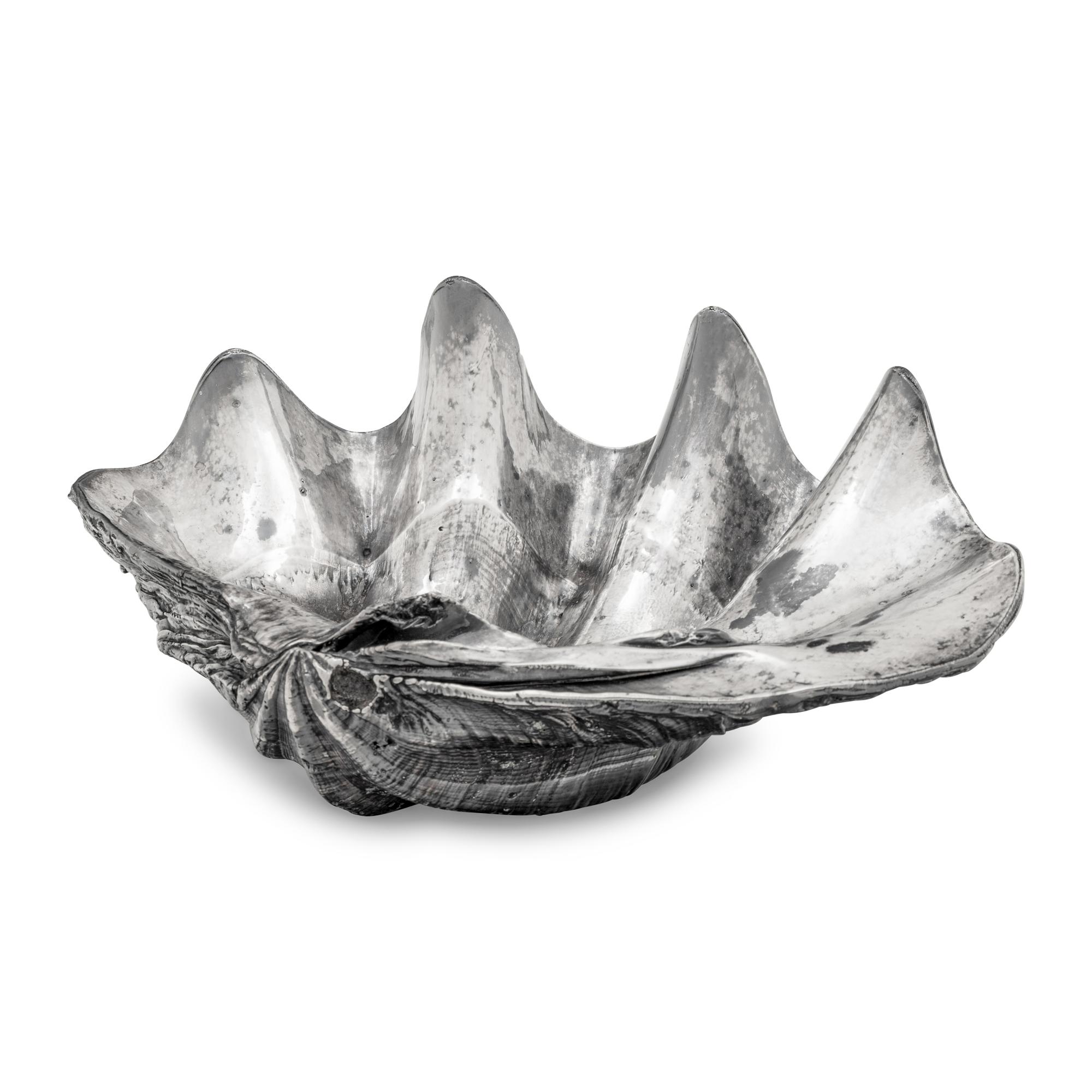 A Large Silver Clad Seashell