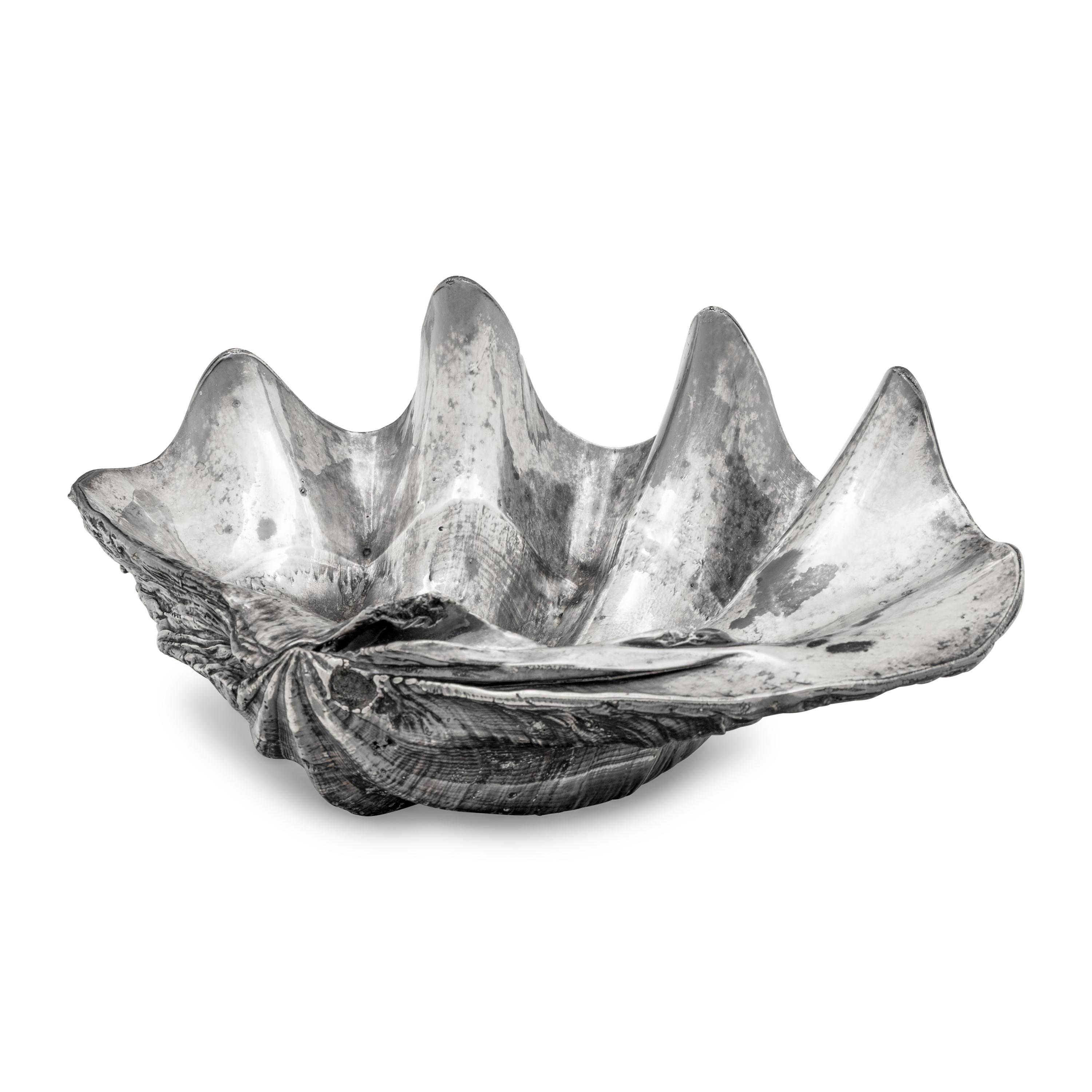 A Large Silver Clad Seashell