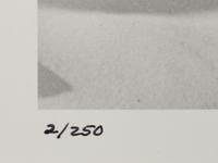 A pair of photographs ( Errol Flynn on Yacht , 1941 (printed later); Gary Cooper in Aspen , 1949 (printed later))