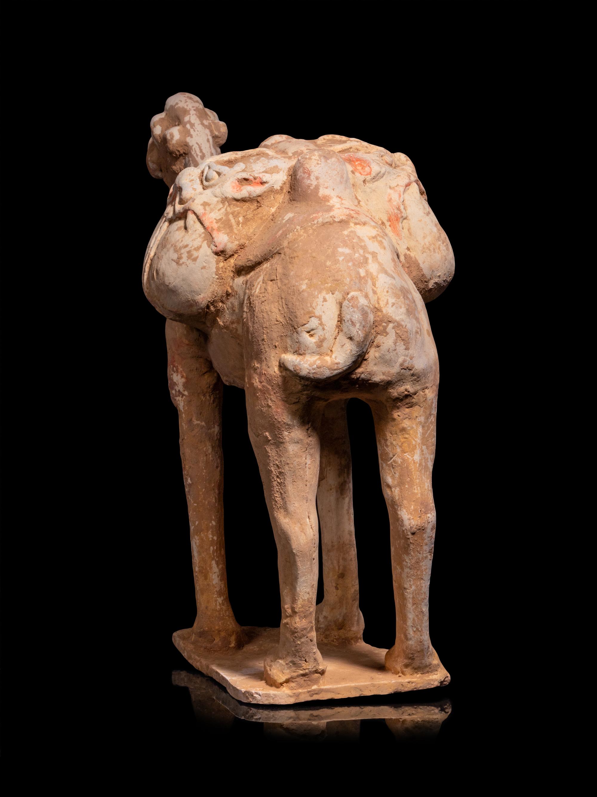 A Chinese Pottery Figure of a Caparisoned Camel