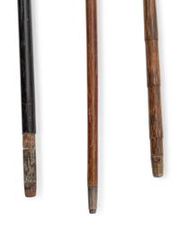 A Group of Silver Mounted Canes